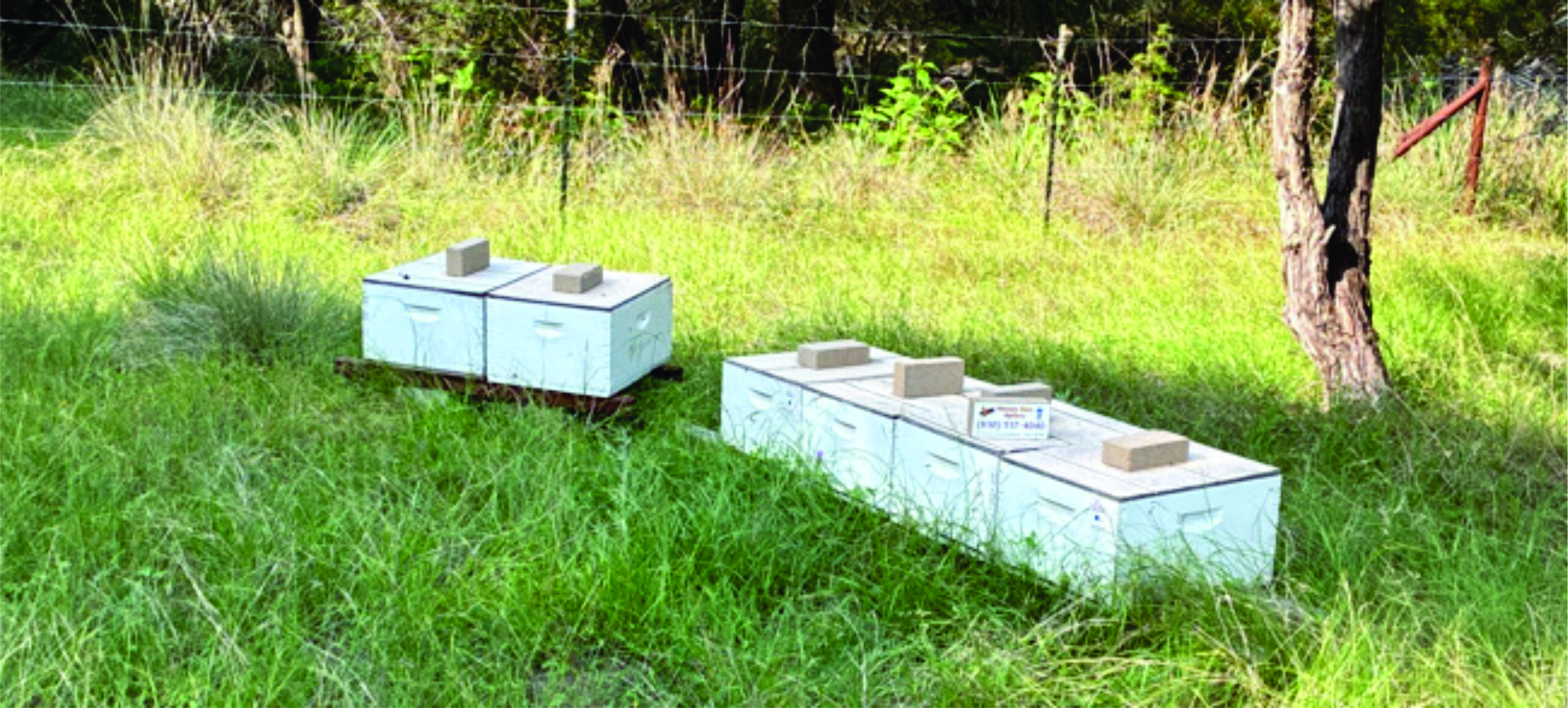 Agricultural Exemption Consulting