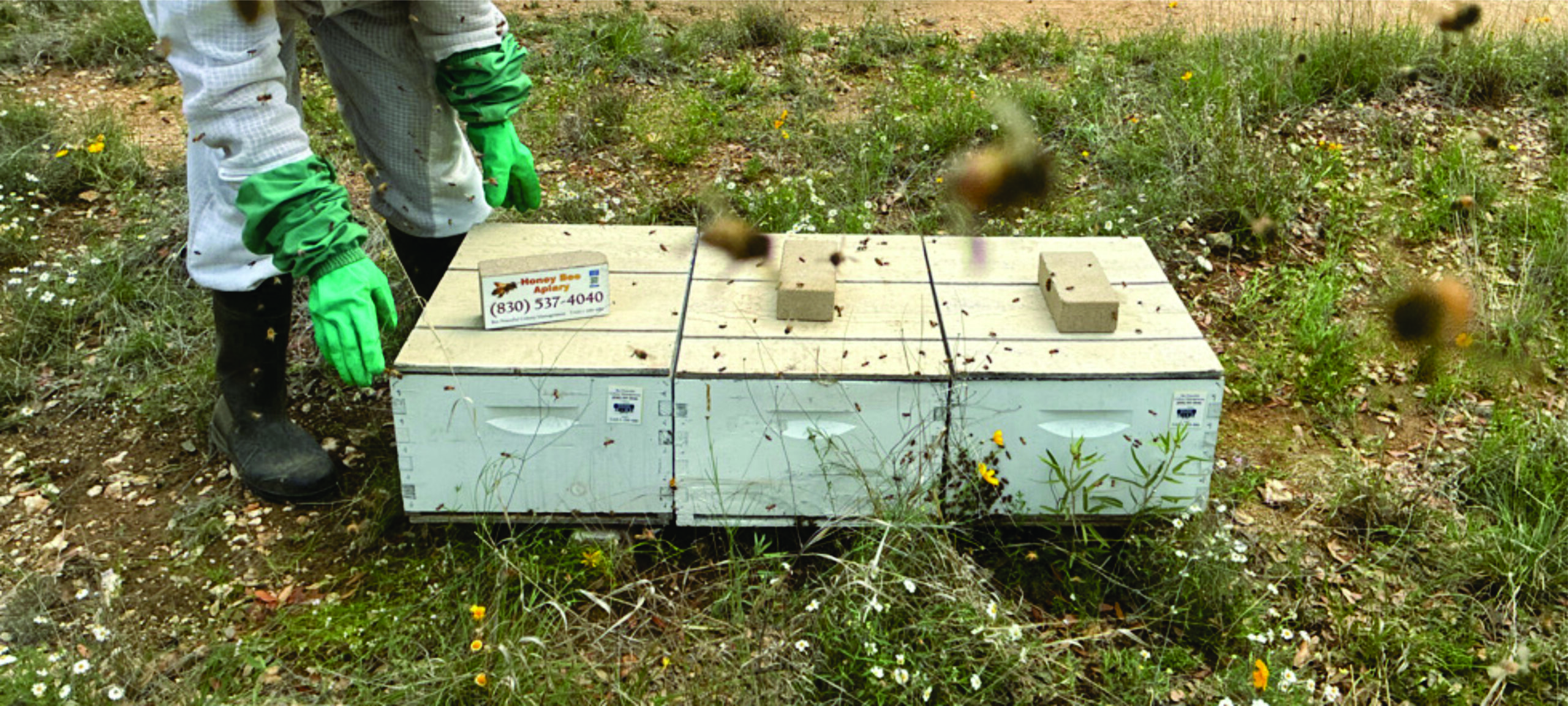 Professional Colony Management